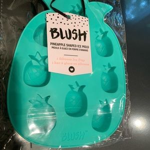 Blush Pineapple Ice Cube Tray, NIP